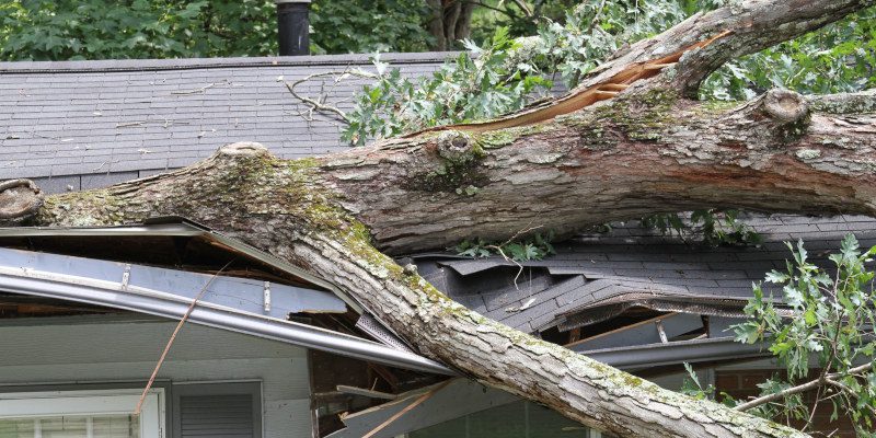 Roof Storm Damage Repair in Pineville, North Carolina