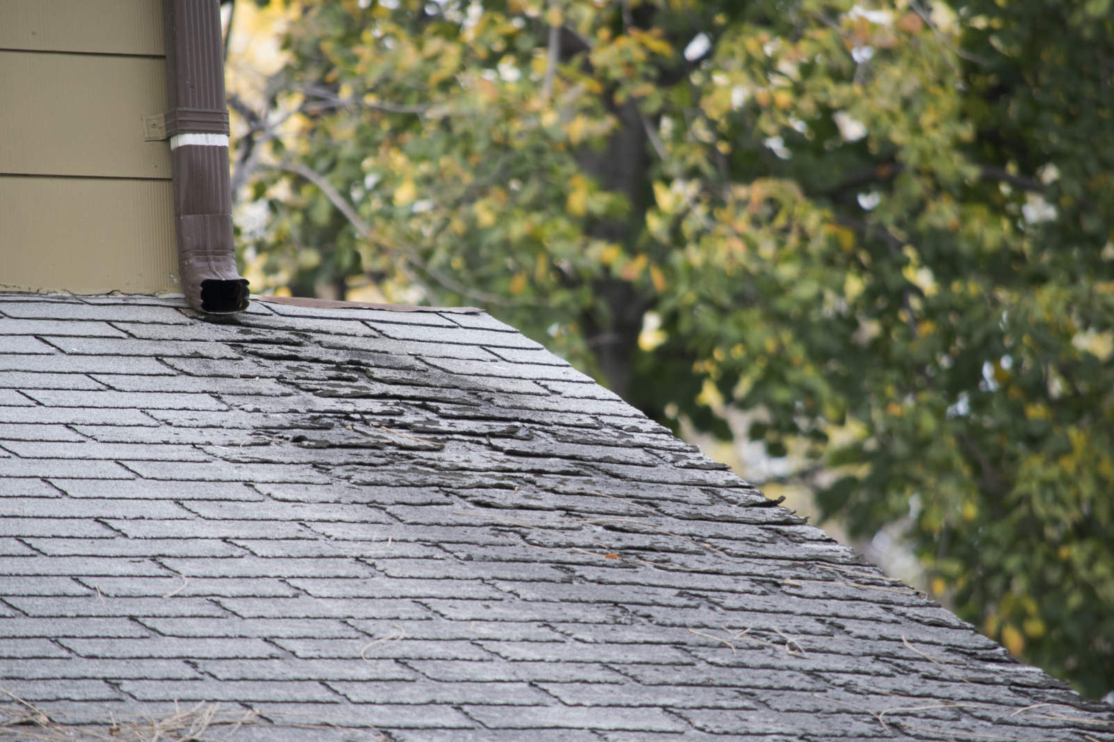 Insurance Requiring Roof Replacement