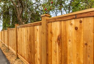 Why Fence Painting Shouldn’t Be an Afterthought