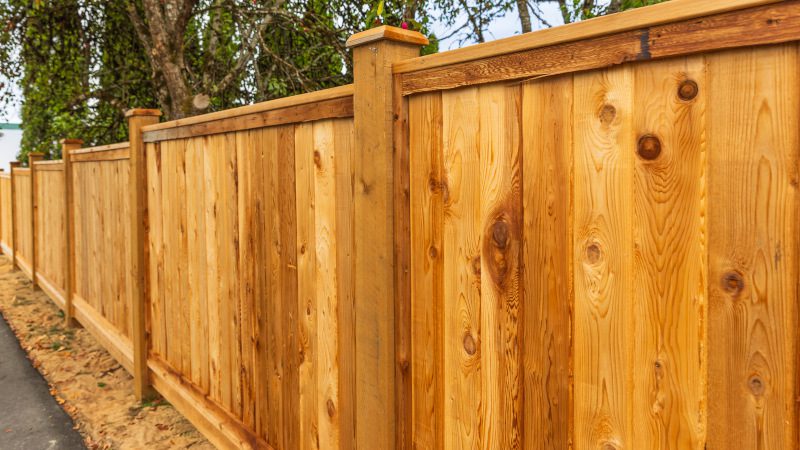 Why Fence Painting Shouldn’t Be an Afterthought